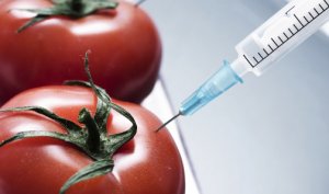 A fairly (un)educated look into PROs and CONs of GMOs